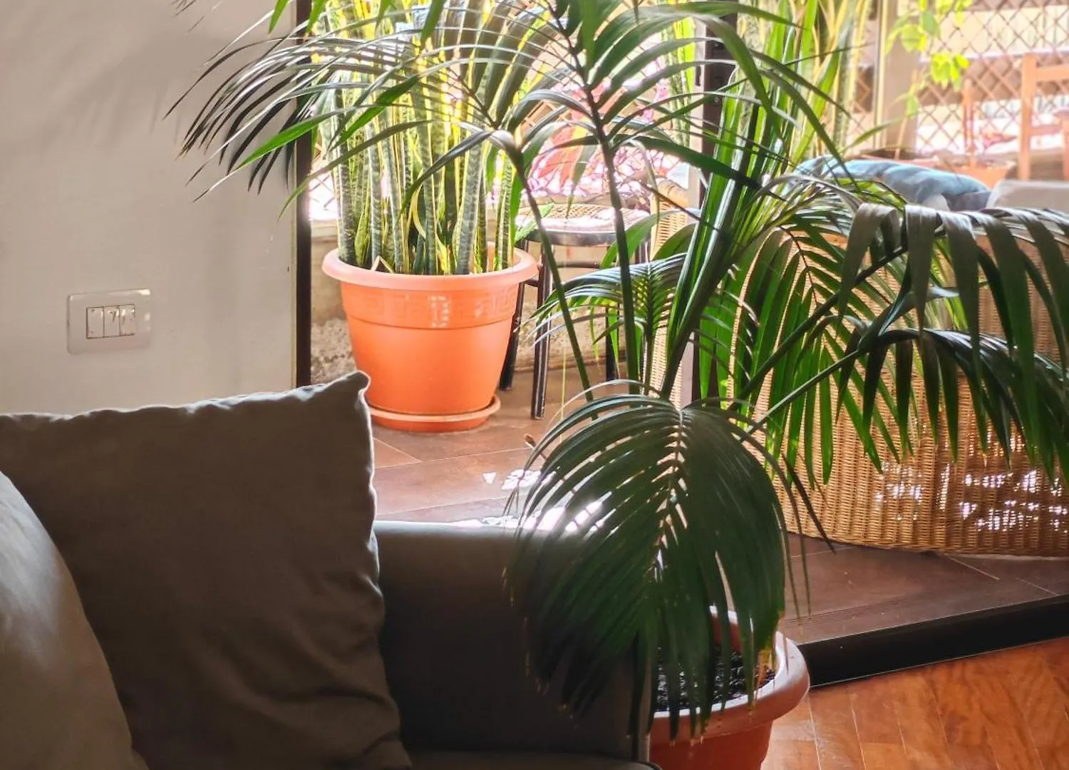 Casa Compartida Weyler Bed & Breakfast Santa Cruz de Tenerife